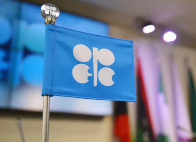 Gubkin's OPEC+ Model