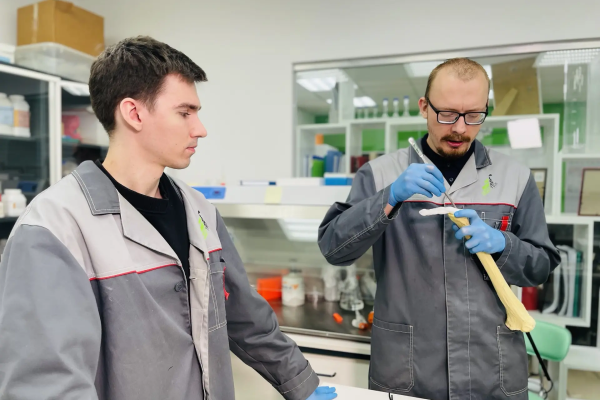 Preclinical trials of the first domestic bone cement have begun in Russia