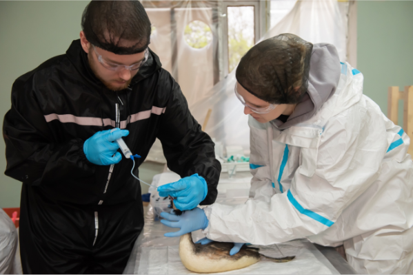 Gubkin students help eliminate the consequences of an oil spill in Krasnodar Region Gubkin students help eliminate the consequences of an oil spill in Krasnodar Region