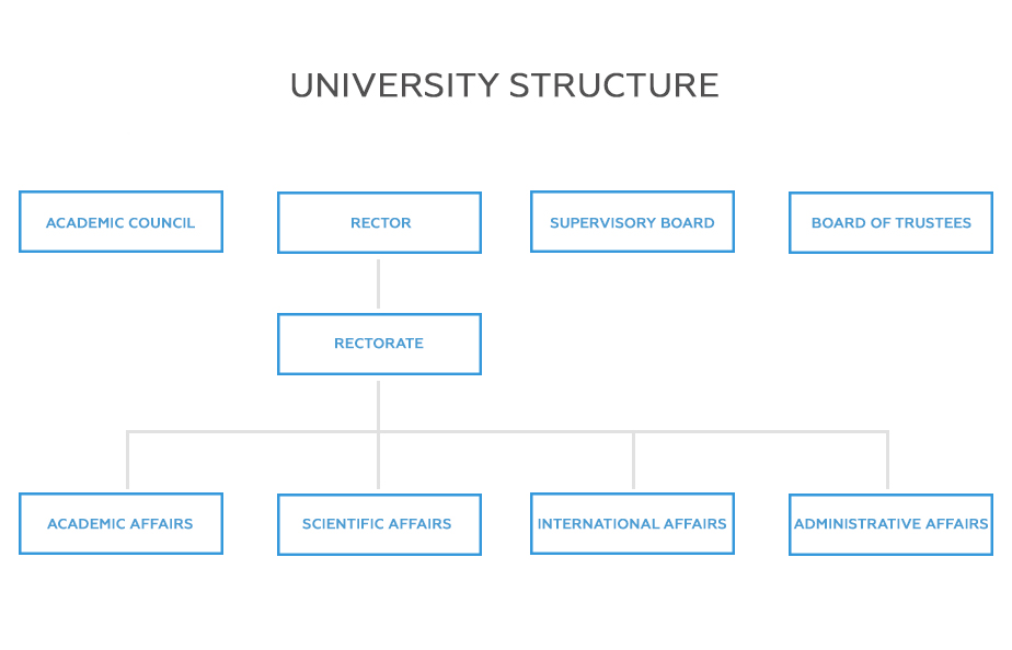 University Structure