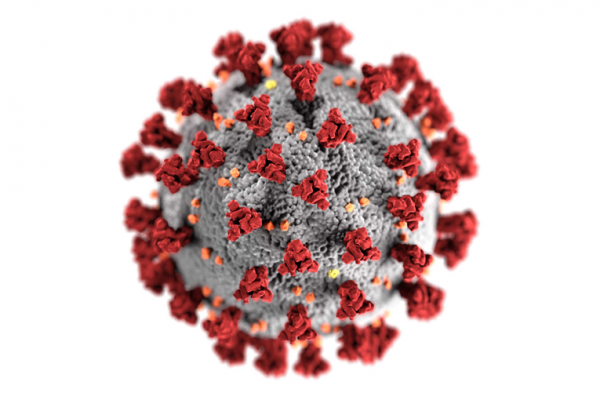 Coronavirus (COVID-19) outbreak: updated information and precautionary measures
